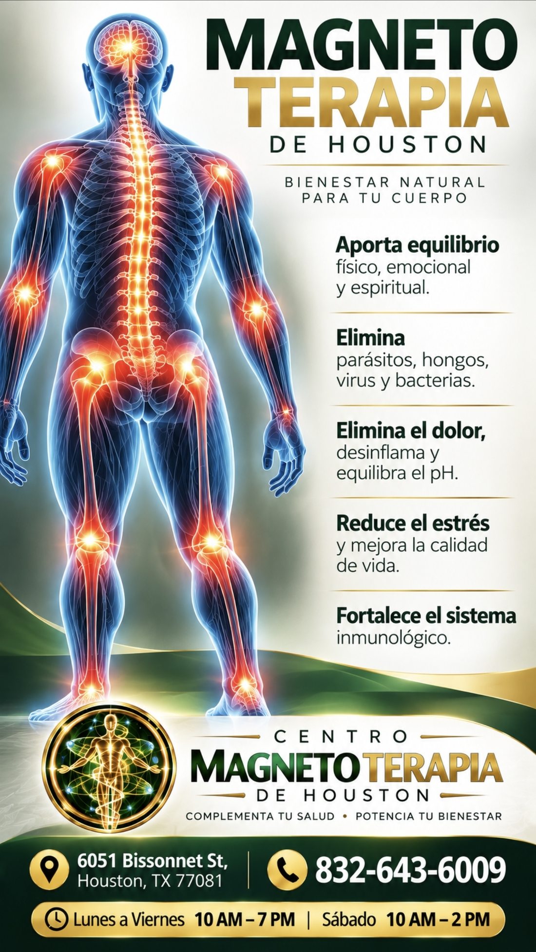 Infografía de Magneto Terapia con ilustración del cuerpo humano